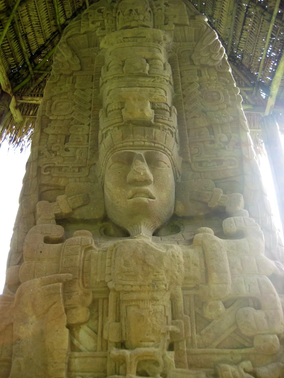 Reich verzierte Maya-Stele aus Quiriguá zwischen Bäumen