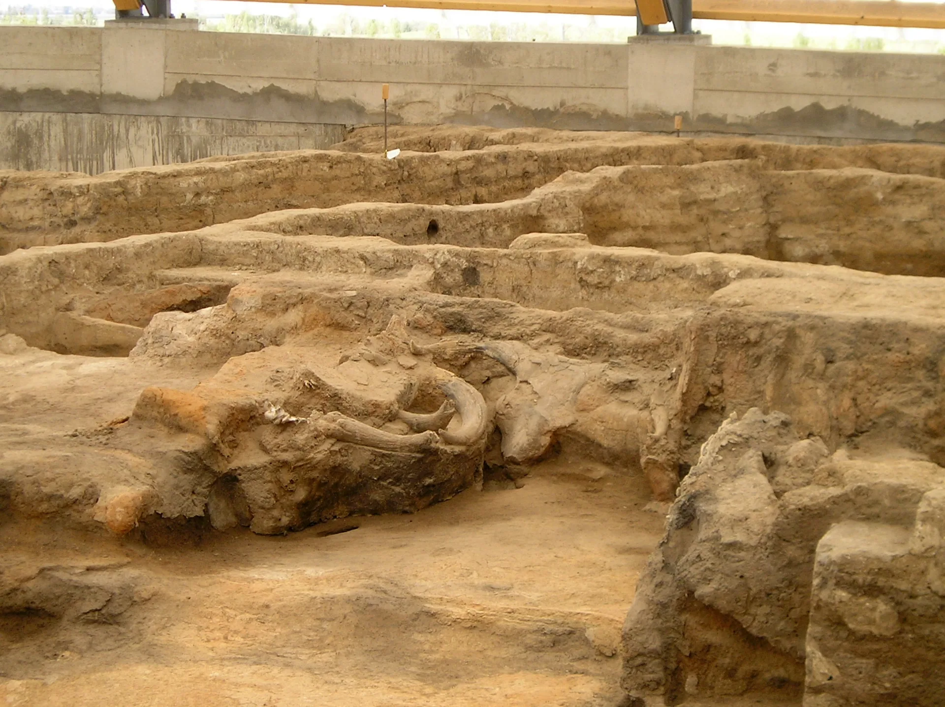 Ausgrabungsfläche von Çatalhöyük mit dicht nebeneinanderliegenden Hausgrundrissen